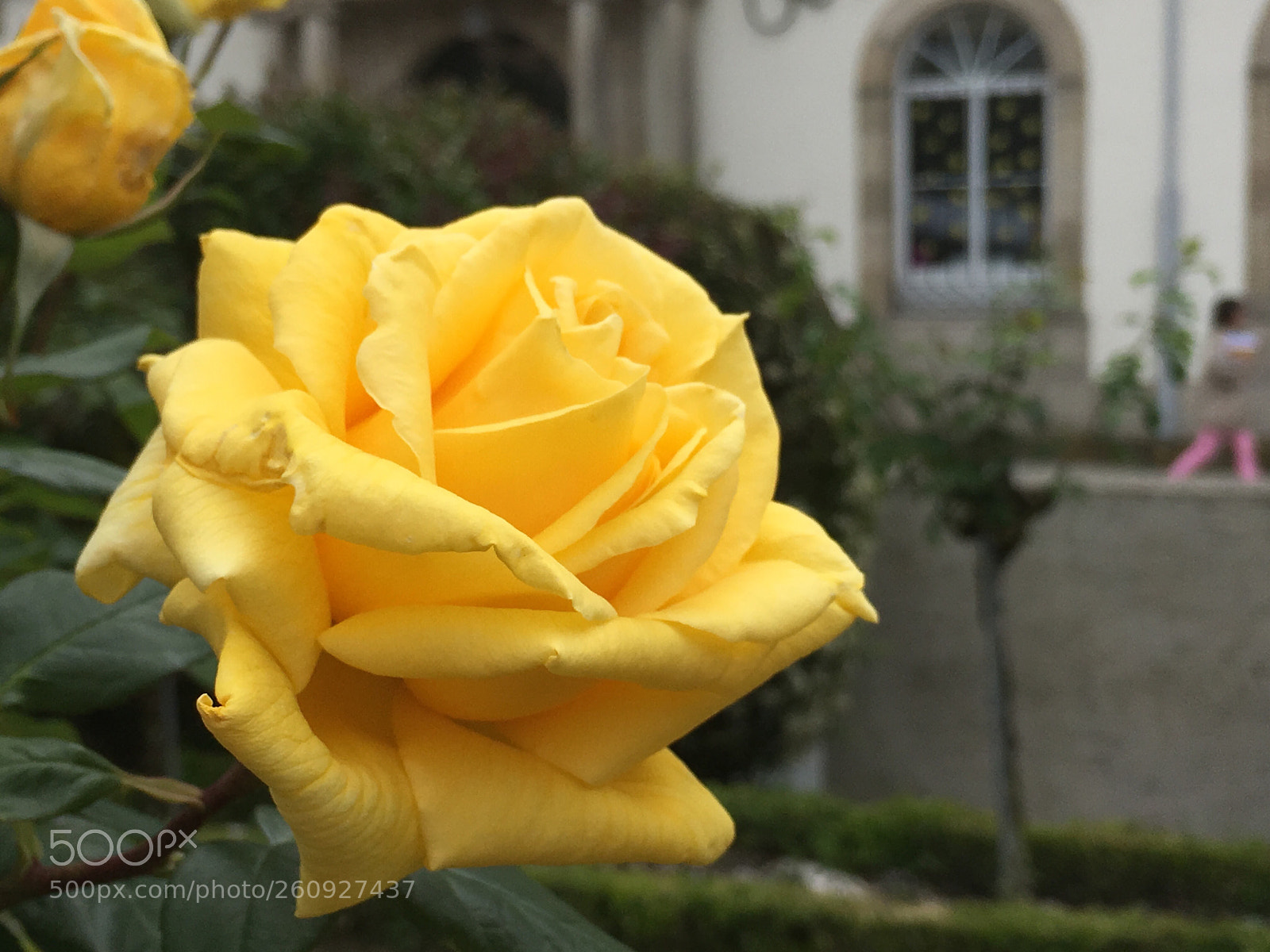Apple iPhone 6s sample photo. 3 dimensiones photography