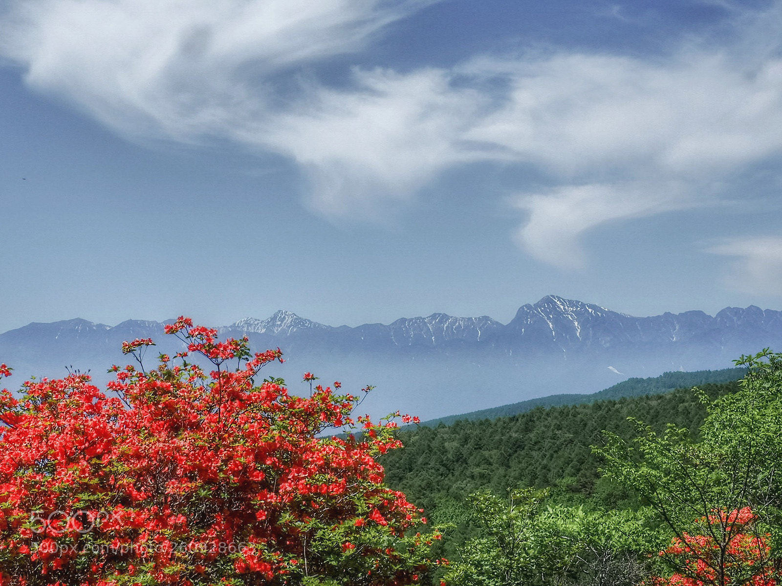 Olympus OM-D E-M10 II sample photo. Flash wind photography