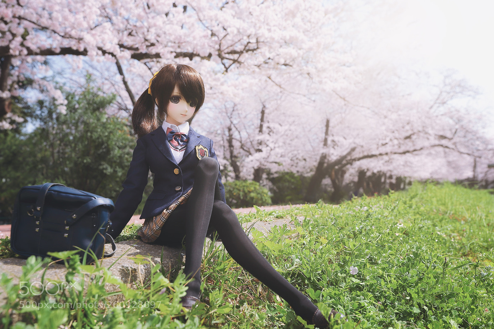 Canon EOS 6D Mark II sample photo. 櫻花樹下的jk ! photography