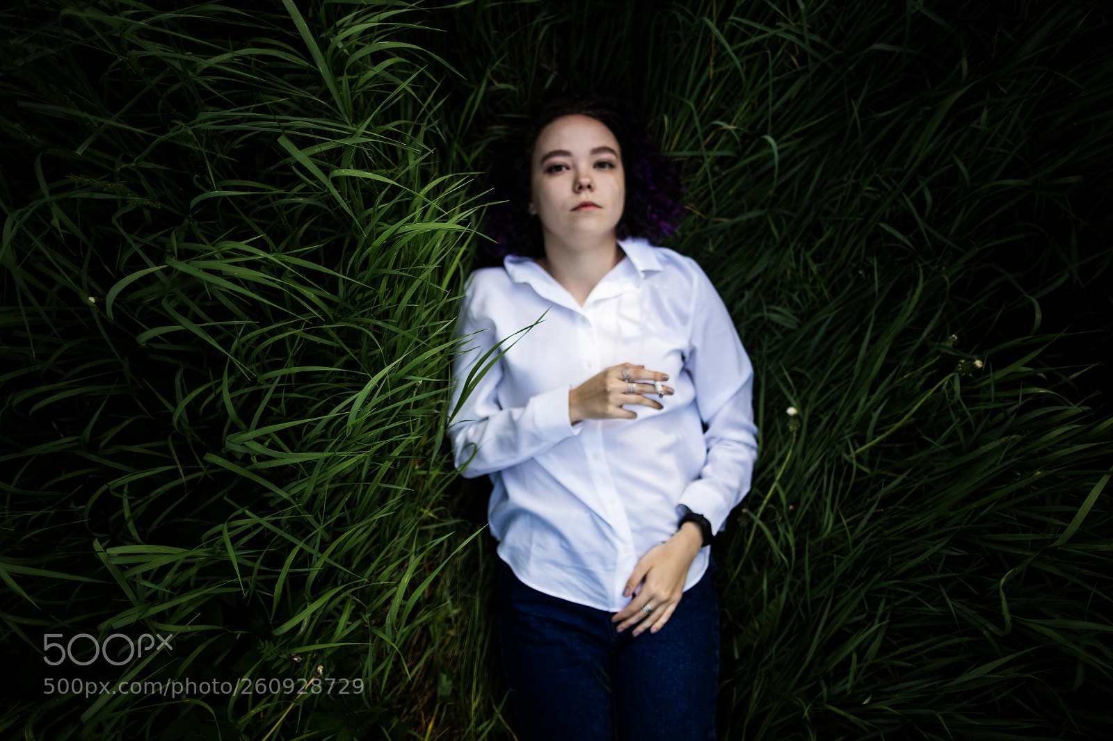 Canon EOS 6D sample photo. In the field of photography