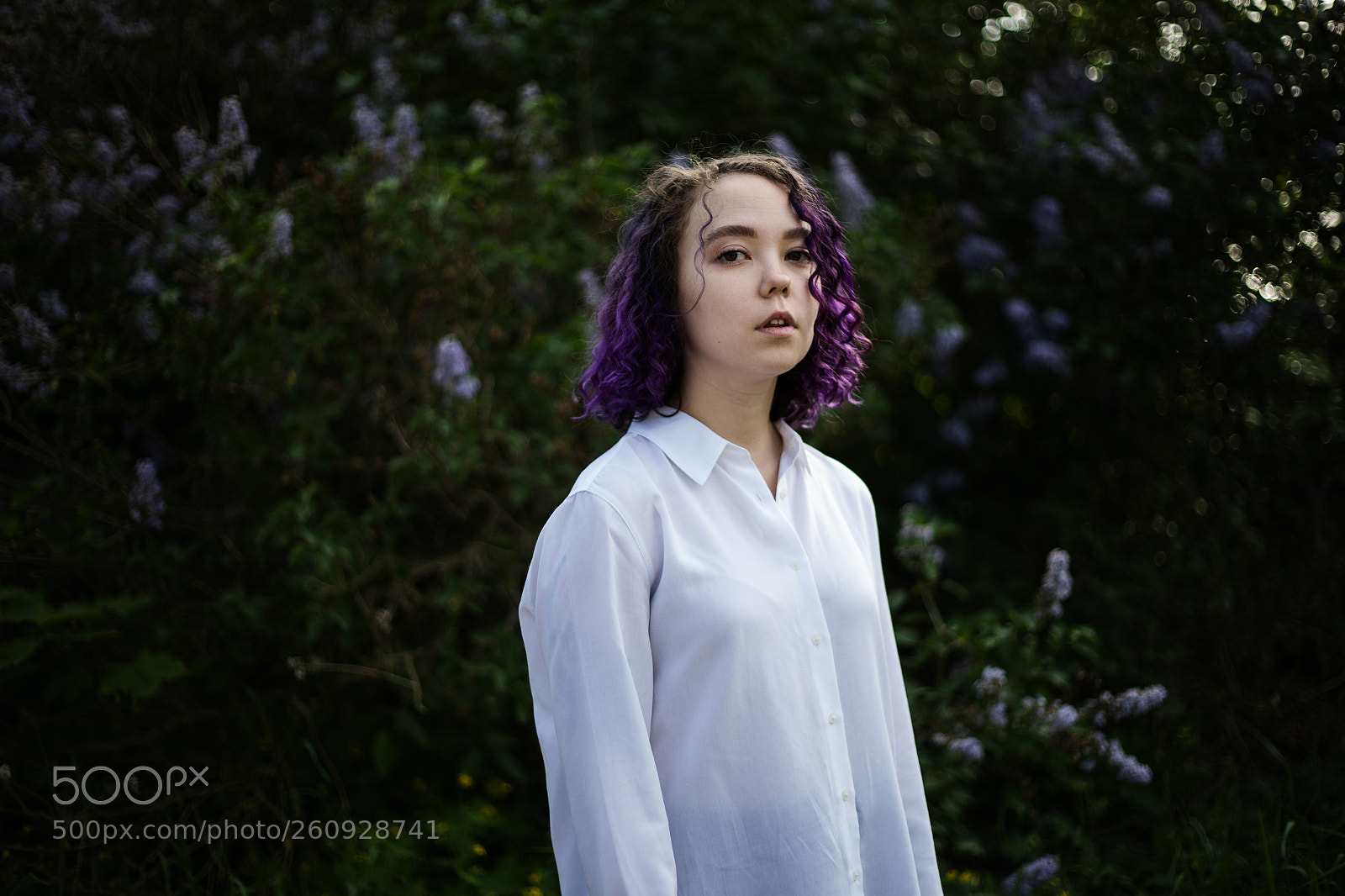 Canon EOS 6D sample photo. Violet on violet photography