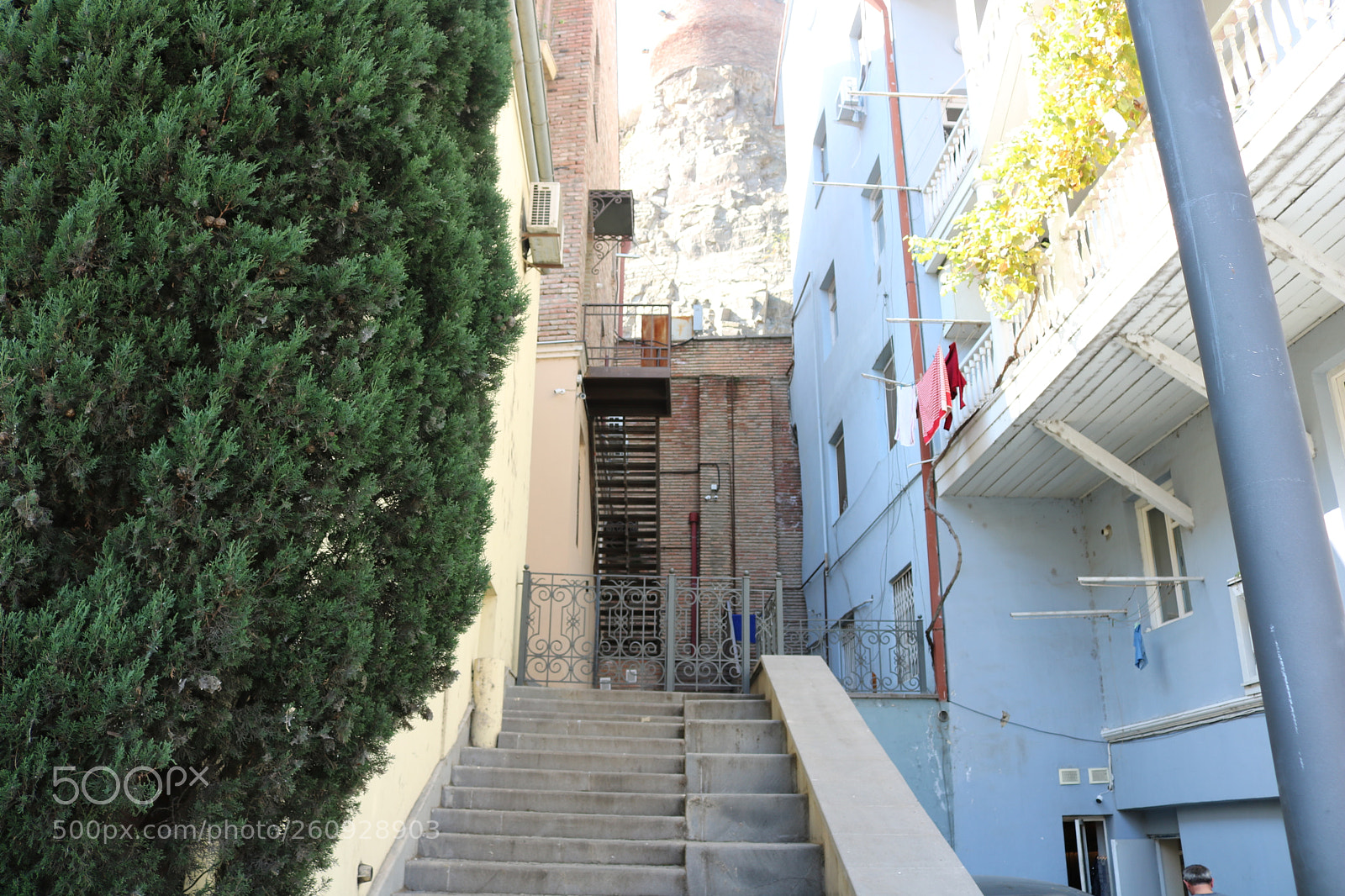 Canon EOS 750D (EOS Rebel T6i / EOS Kiss X8i) sample photo. Green and blue photography