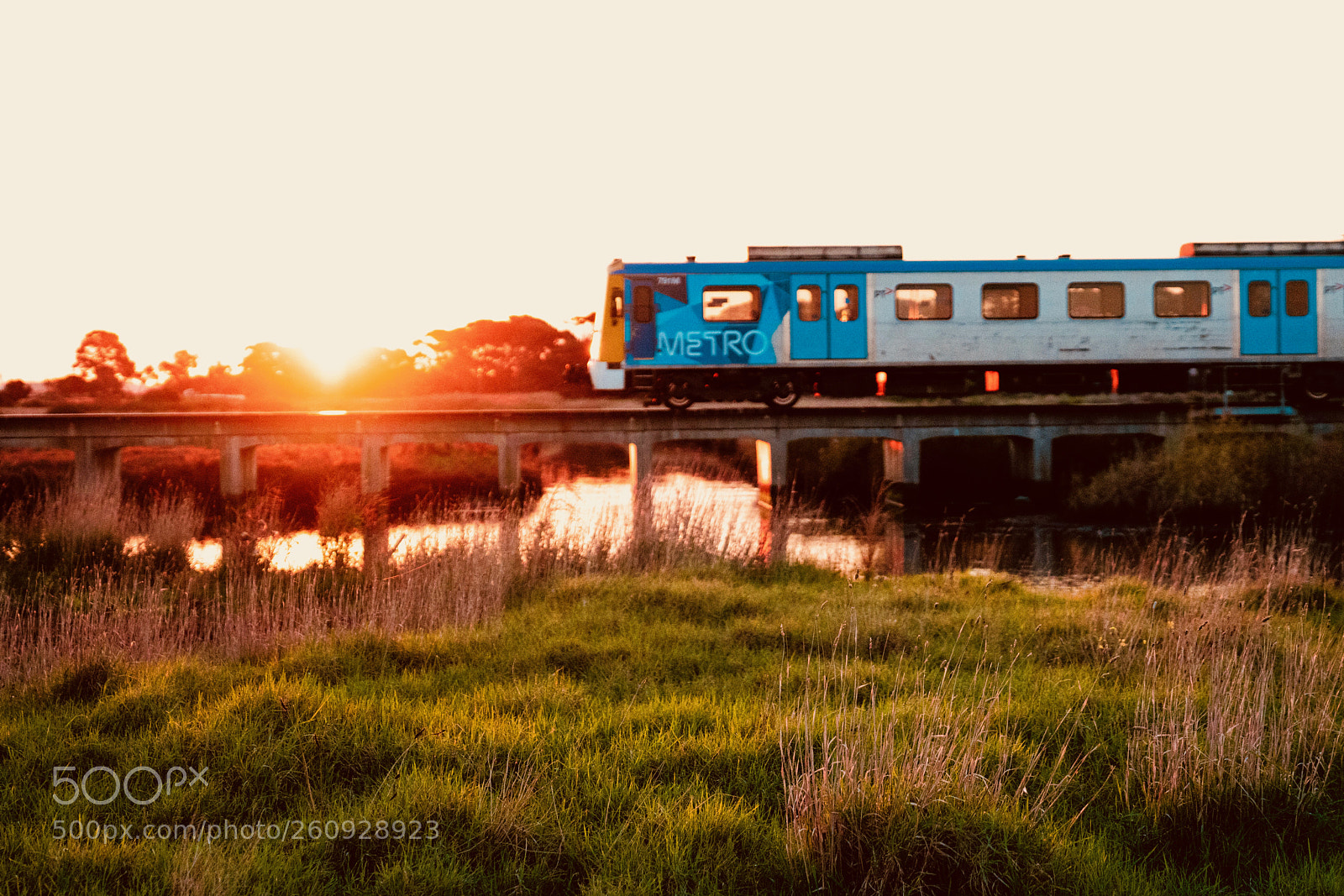 Sony a7R III sample photo. Dsc photography