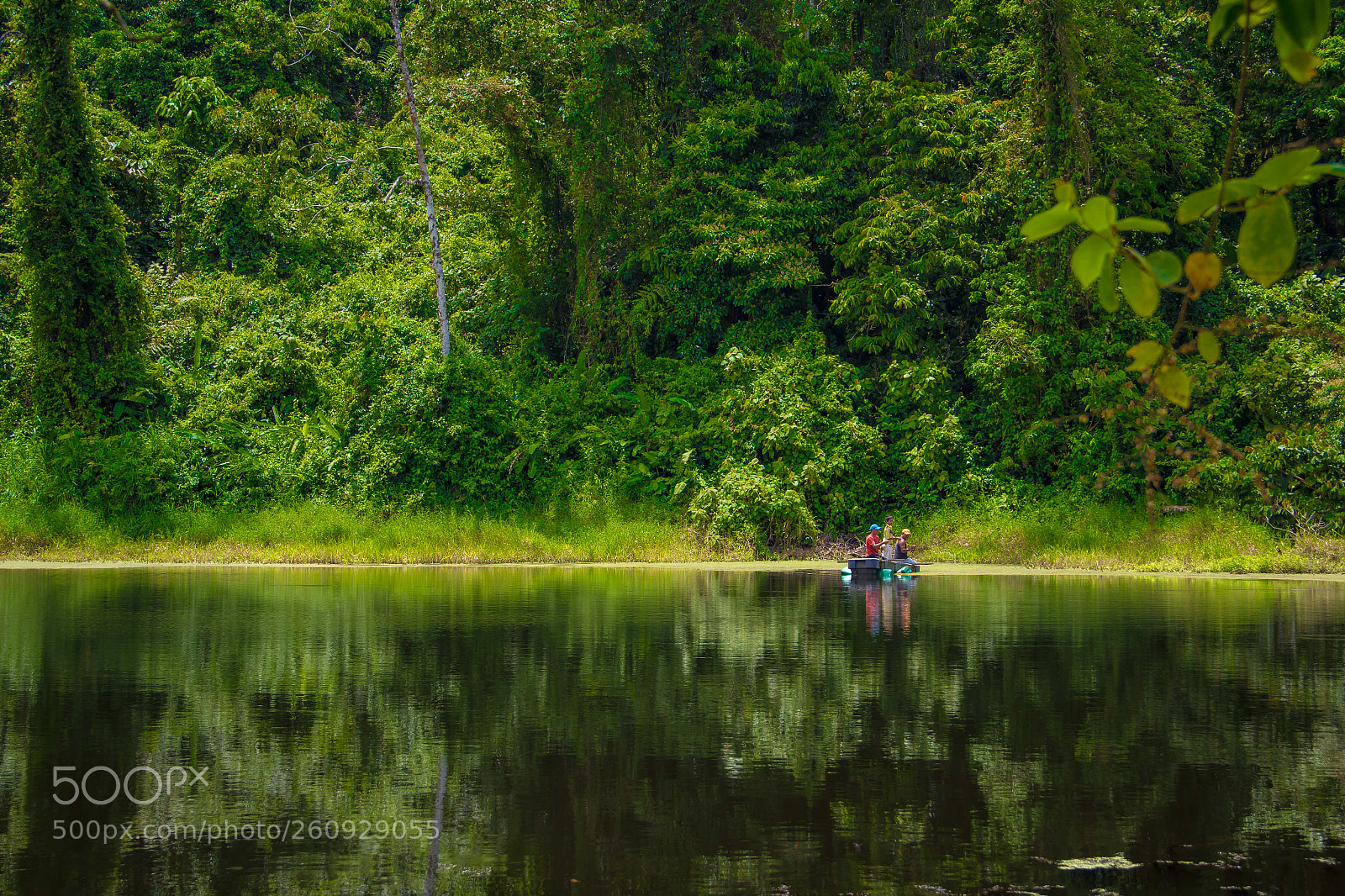 Canon EOS 60D sample photo. Duck lagoon photography