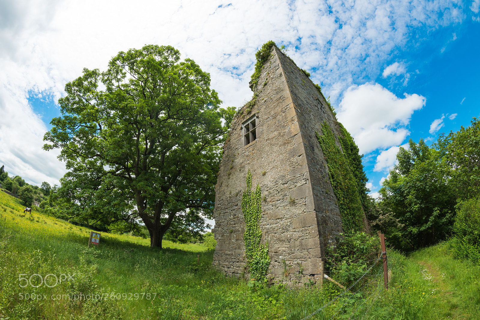 Nikon D810 sample photo. Knights of kerry ruins photography