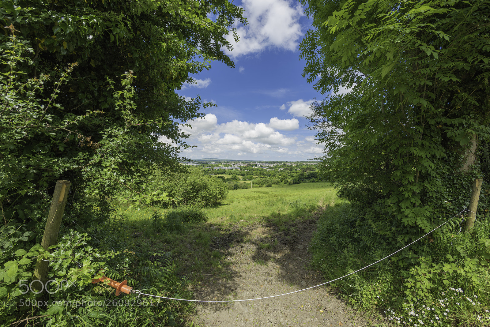 Nikon D810 sample photo. View of listowel from photography