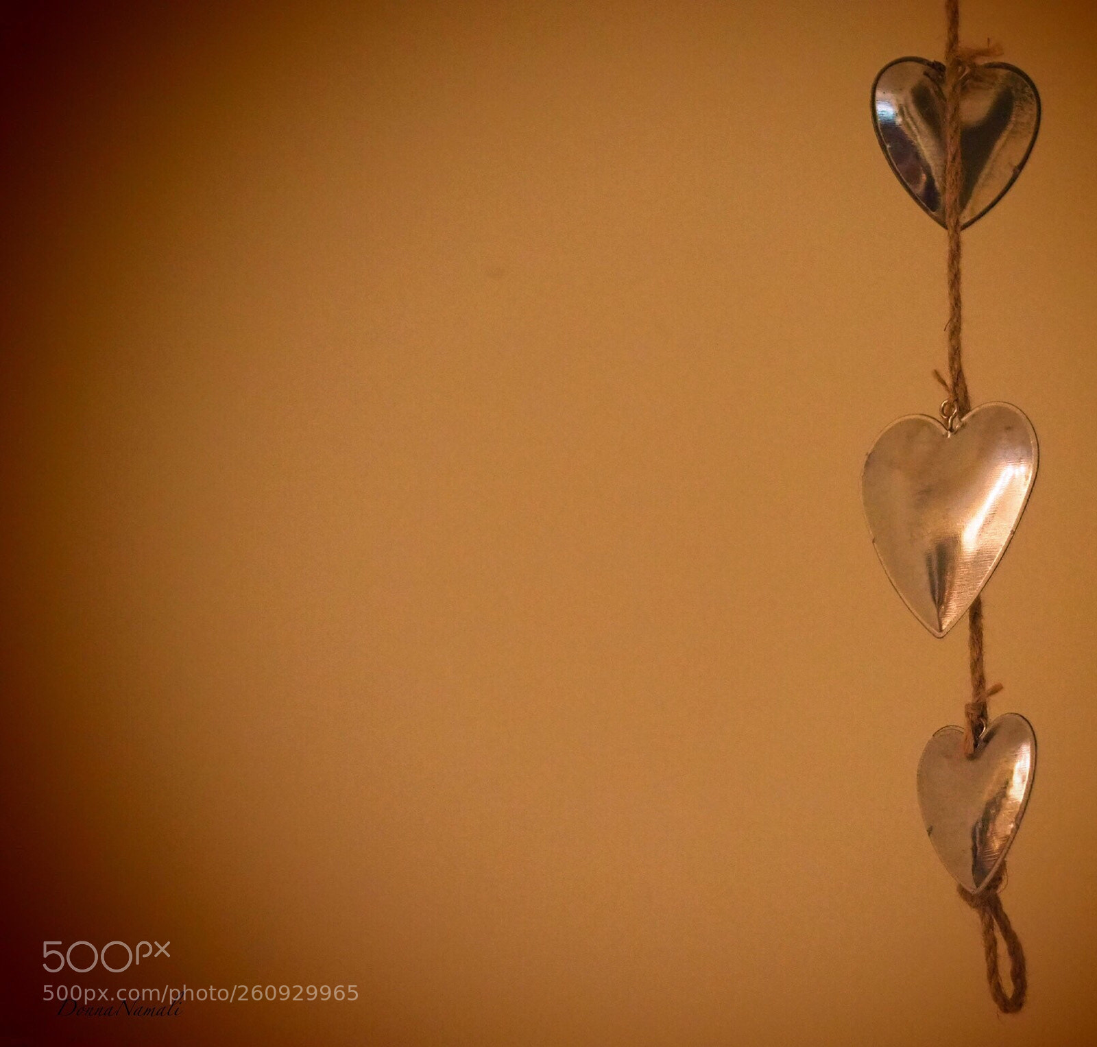 Olympus OM-D E-M1 Mark II sample photo. Heartstrings photography