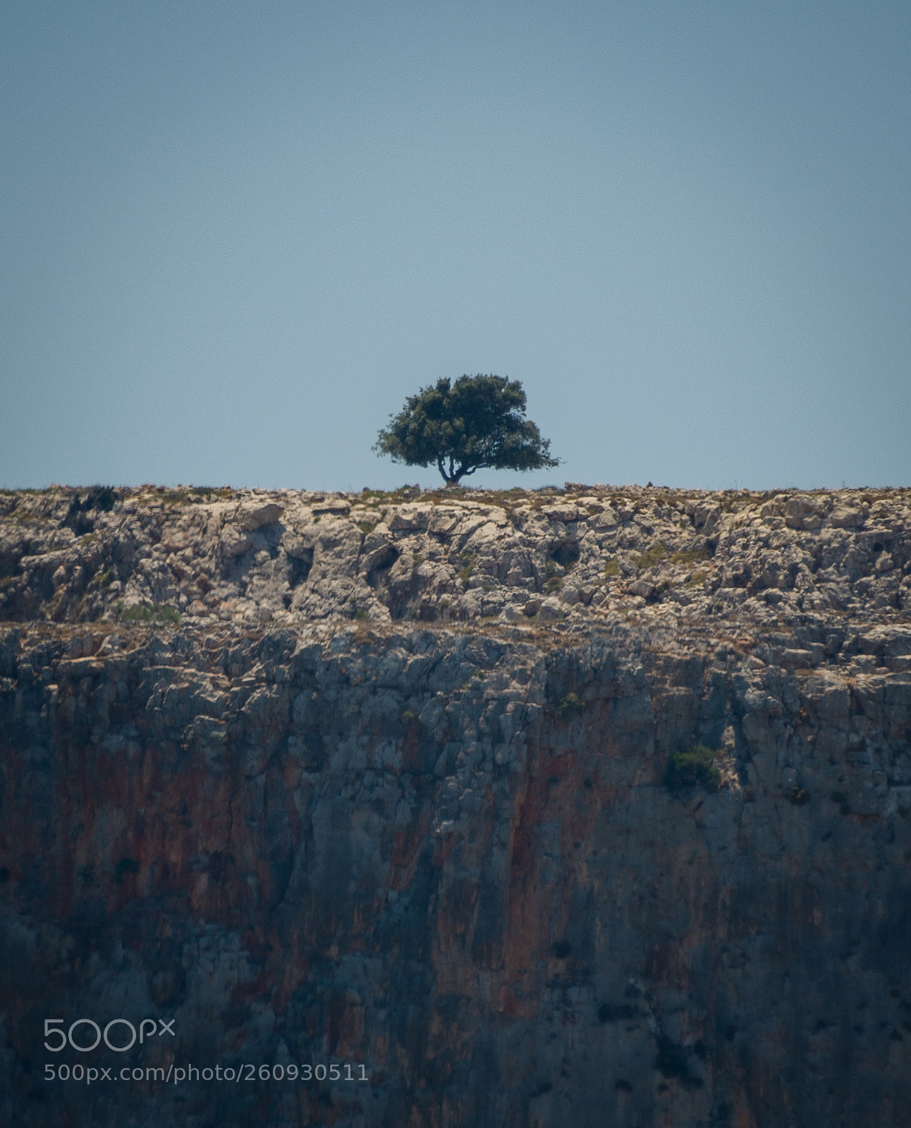Nikon D600 sample photo. Print photography