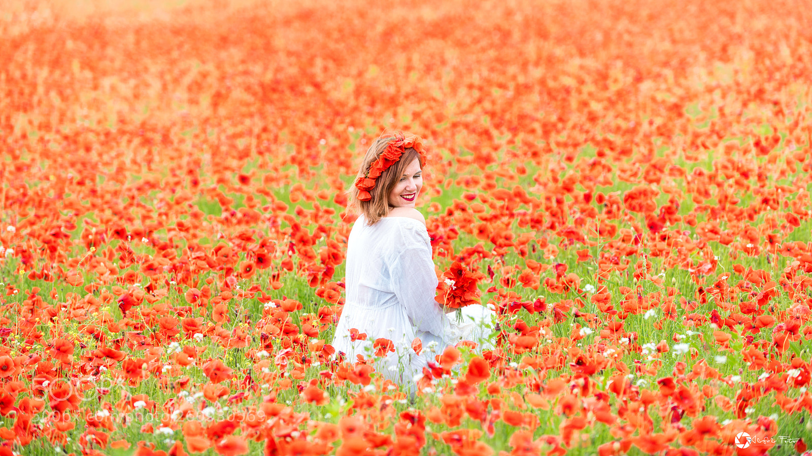 Nikon D850 sample photo. Poppies mania photography