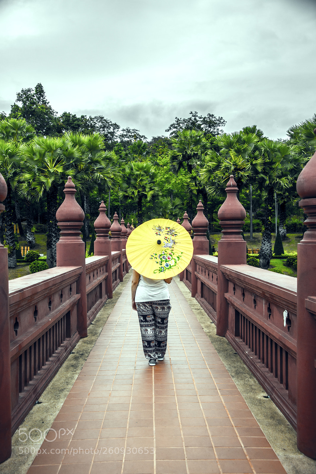 Nikon D600 sample photo. Walking on the bridge photography