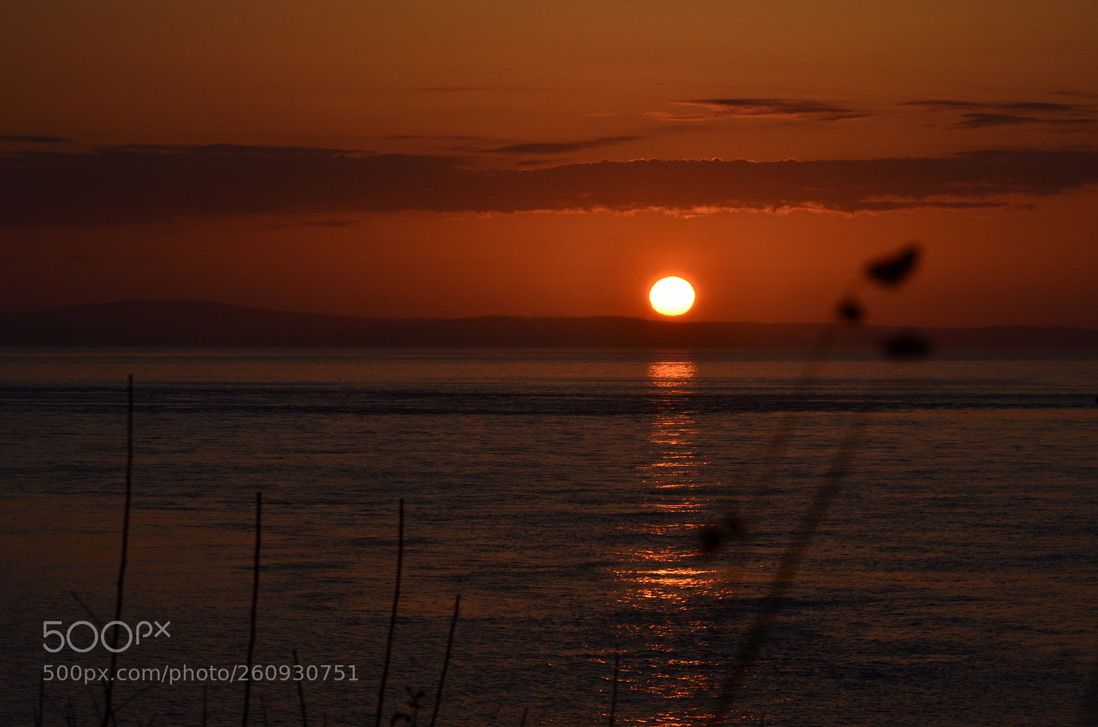 Nikon D5100 sample photo. Golden sunset photography