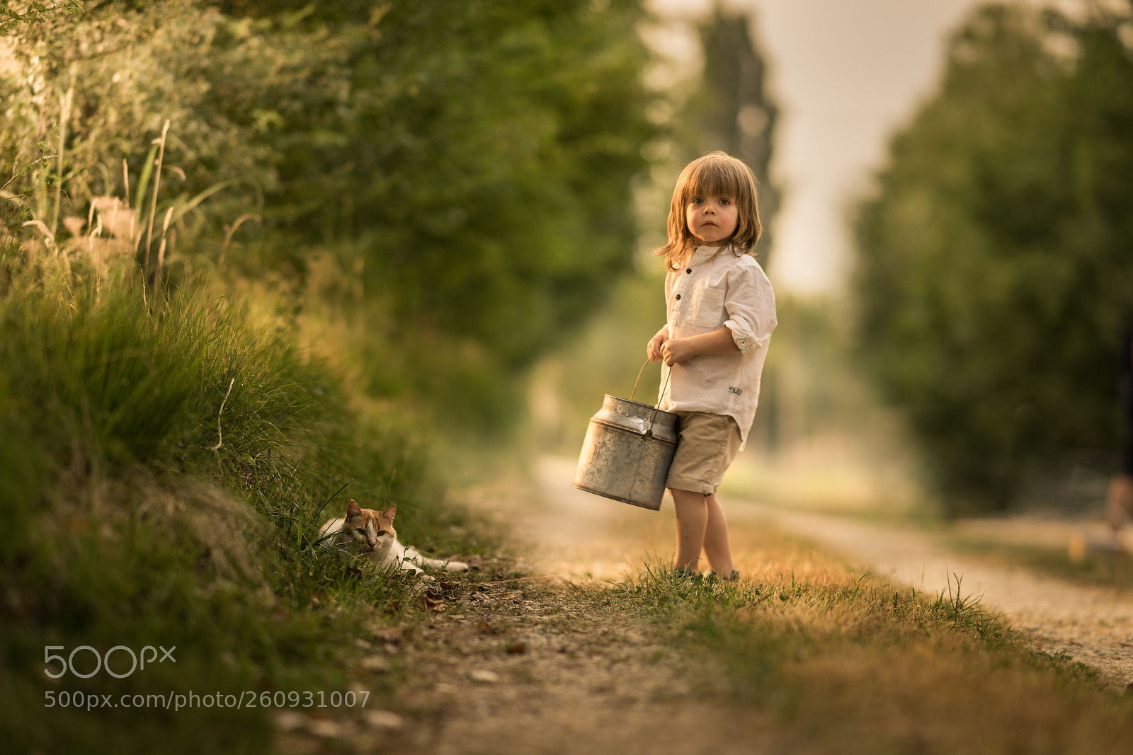 Sony a7 sample photo. Milk photography