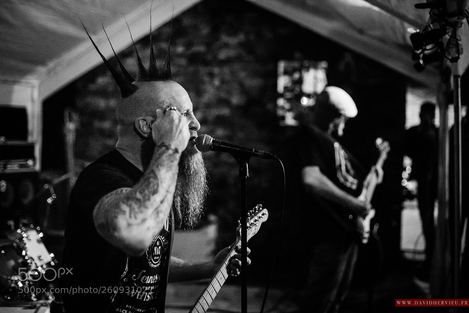 Canon EOS 5D Mark IV sample photo. Concert photography