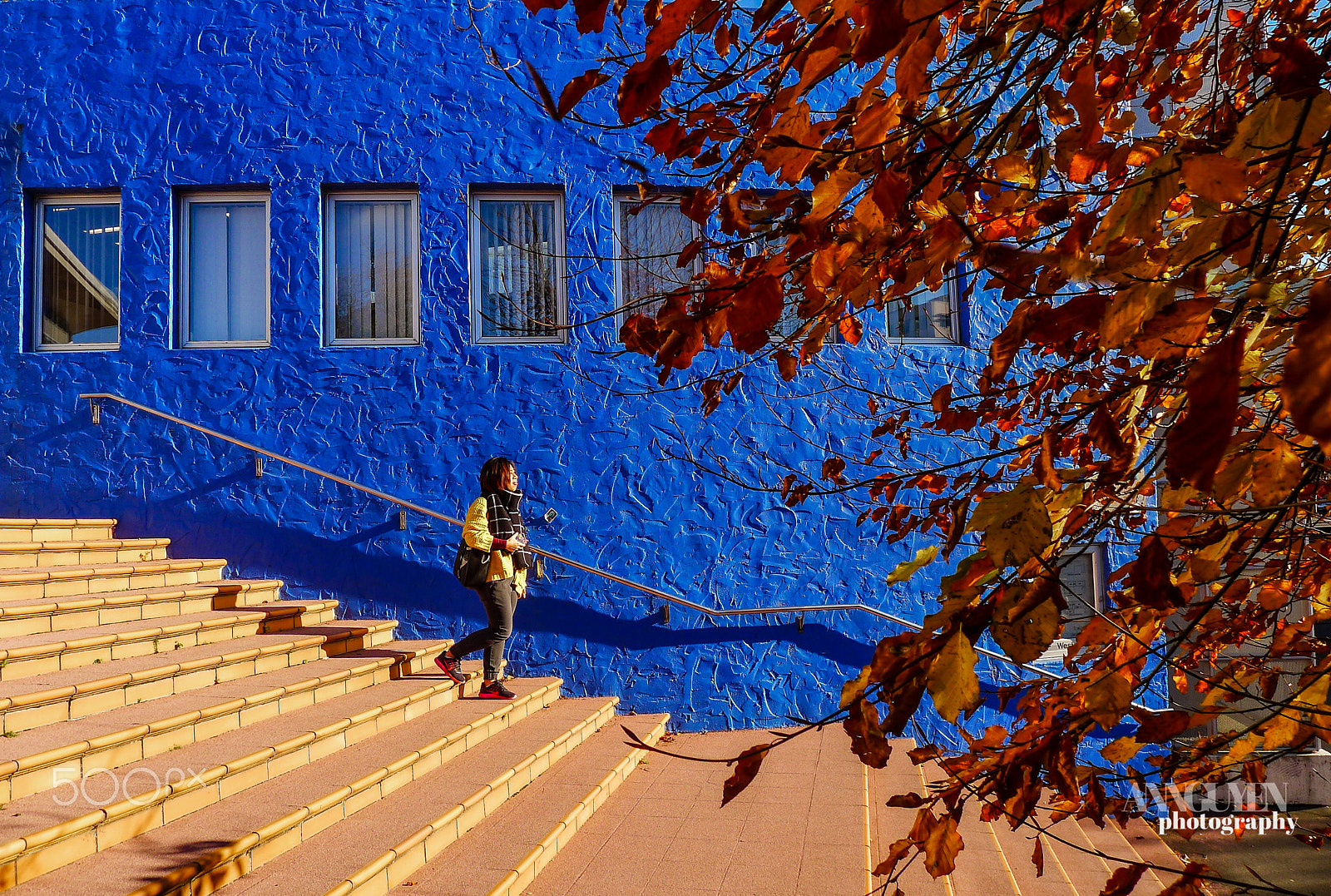 Panasonic Lumix DMC-LX5 sample photo. Steps into autumn photography