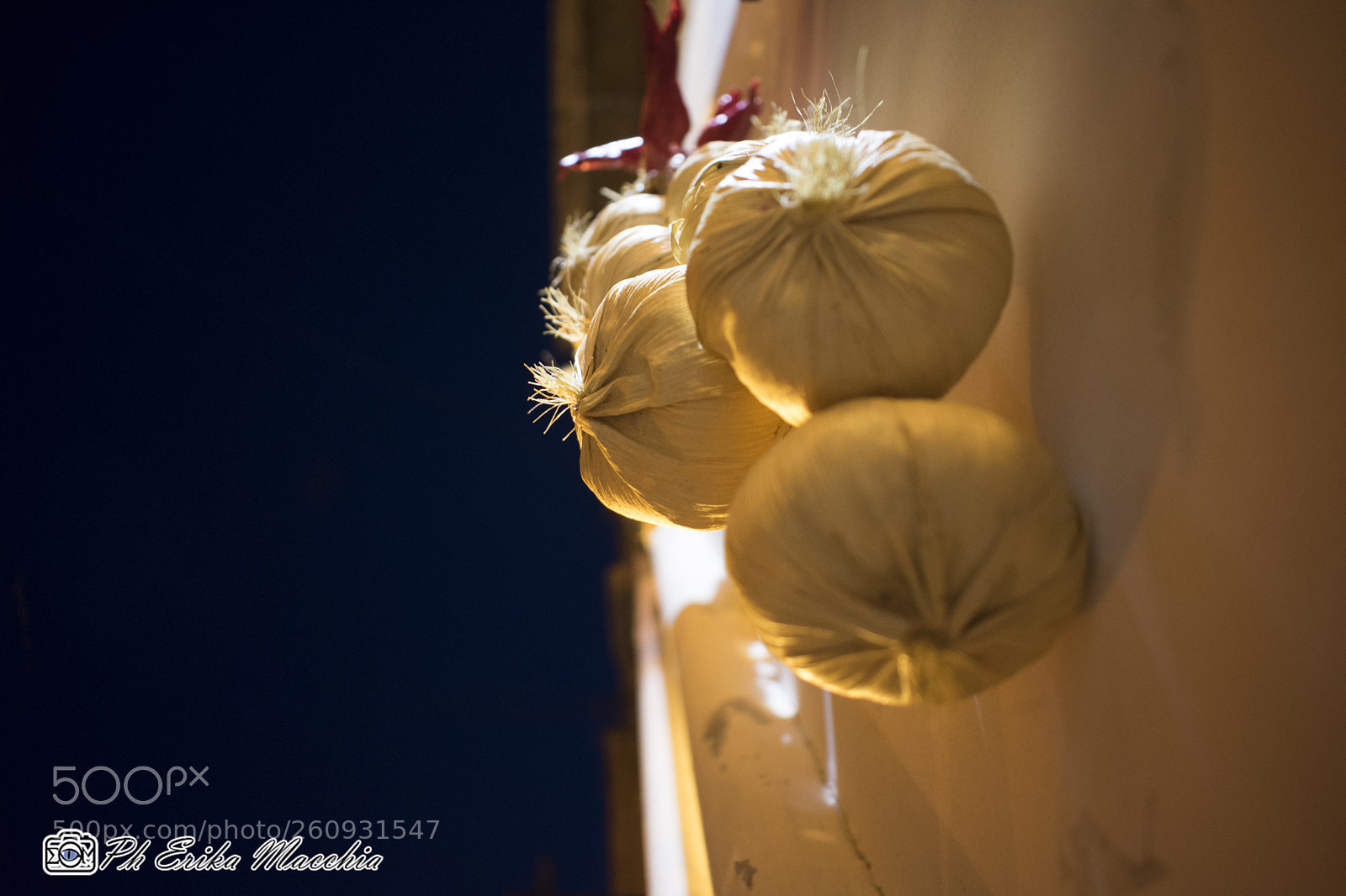 Nikon D3400 sample photo. Points of view photography