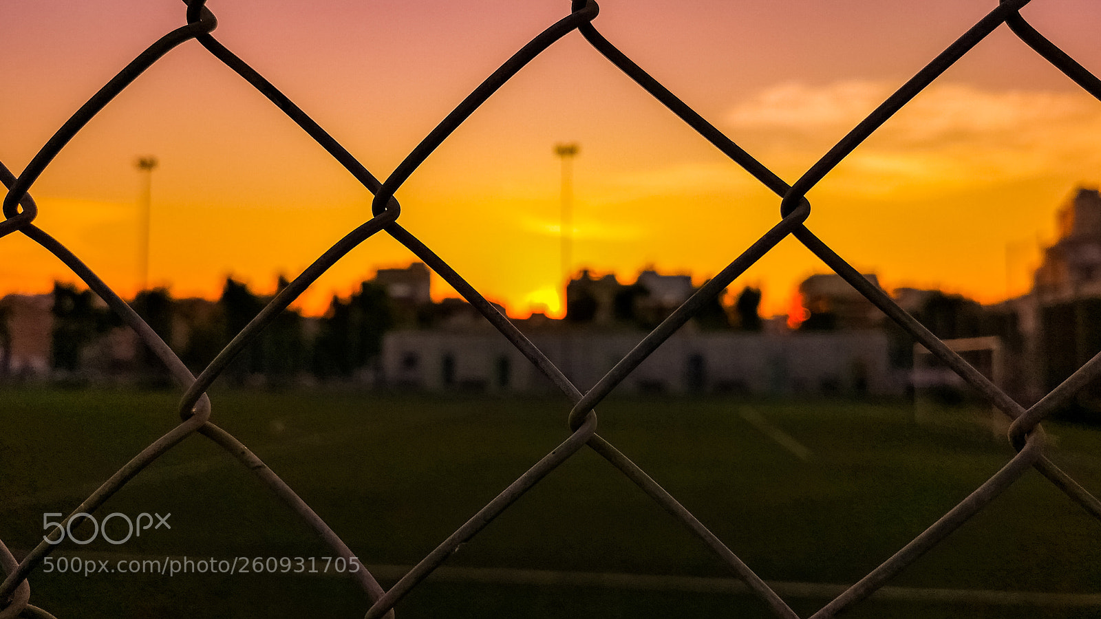 HUAWEI CLT-L29 sample photo. Wire photography