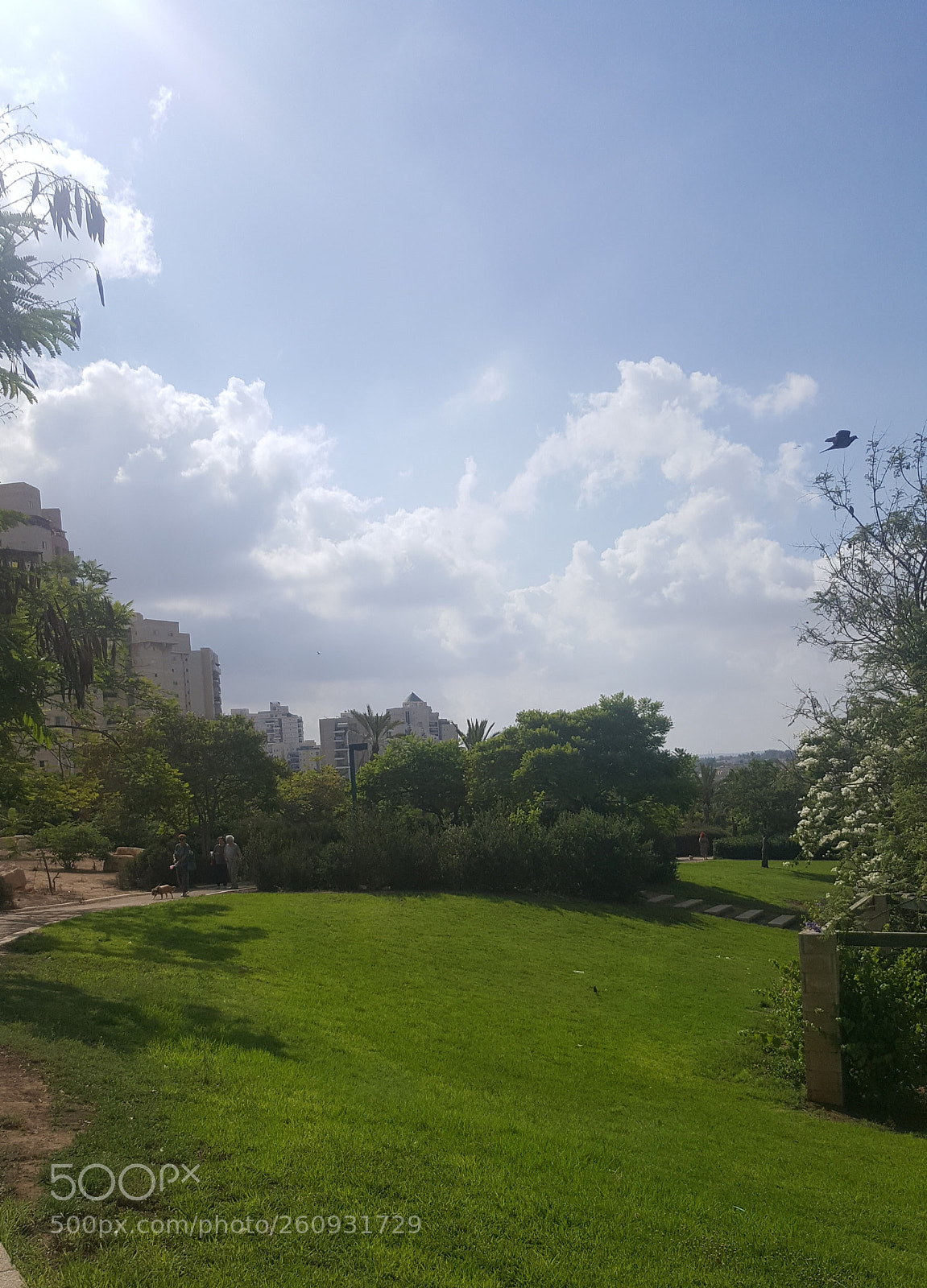 Samsung Galaxy Note5 sample photo. Untitled photography