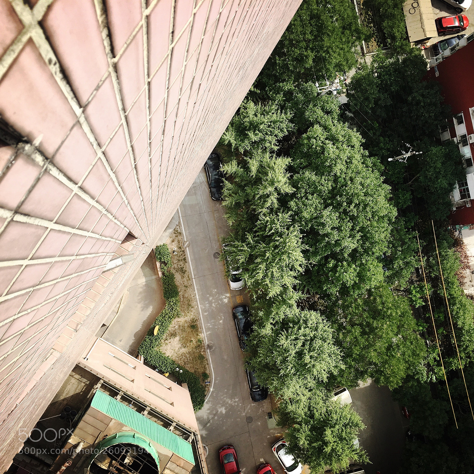 Apple iPhone 6s sample photo. 华商 photography
