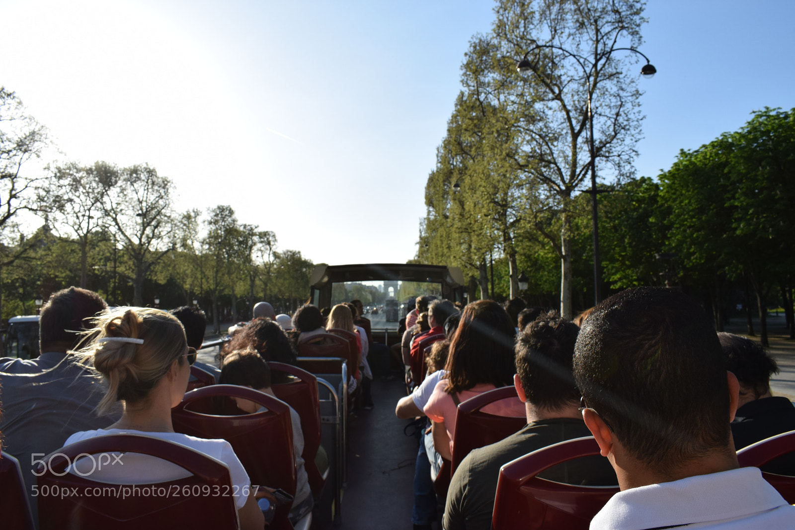 Nikon D5300 sample photo. Sunlight motion photography