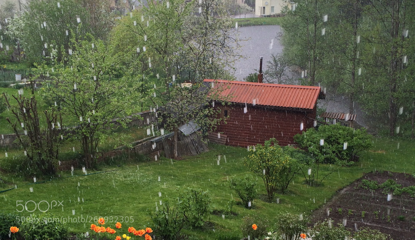 Apple iPhone 5s sample photo. Rain in the village photography
