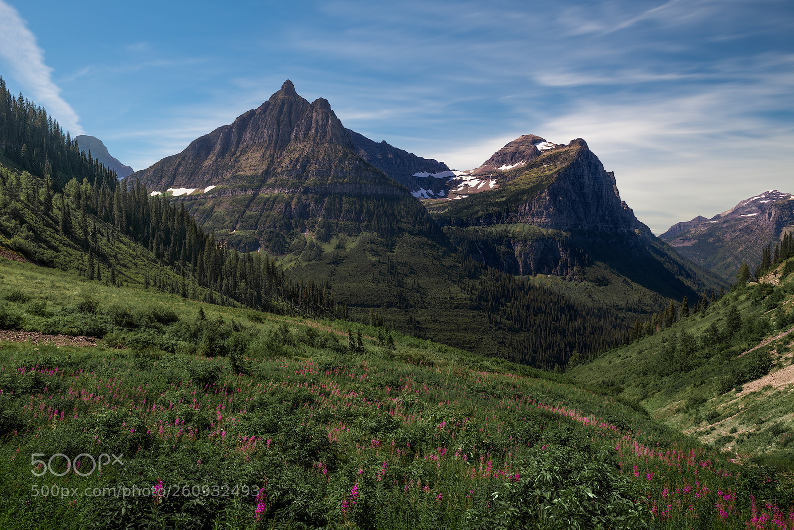Nikon D800 sample photo. Logan pass photography