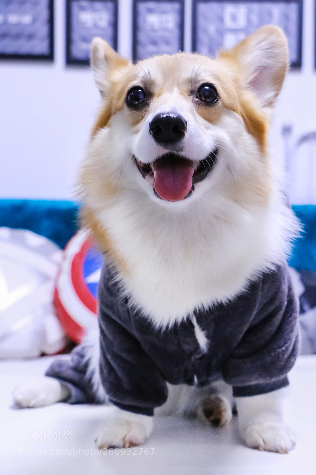 Canon EOS 70D sample photo. 冲洗 photography