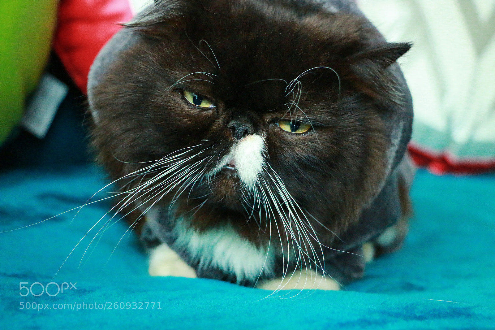 Canon EOS 70D sample photo. 冲洗 photography
