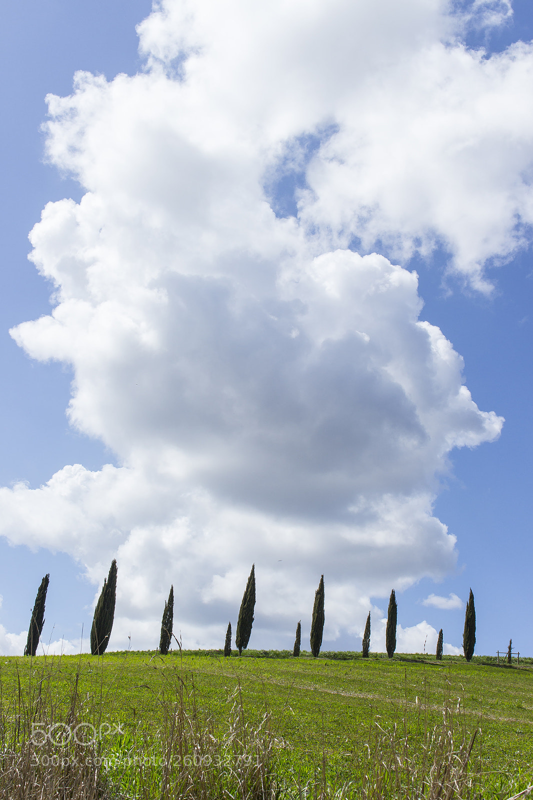 Canon EOS 700D (EOS Rebel T5i / EOS Kiss X7i) sample photo. Val d'orcia photography