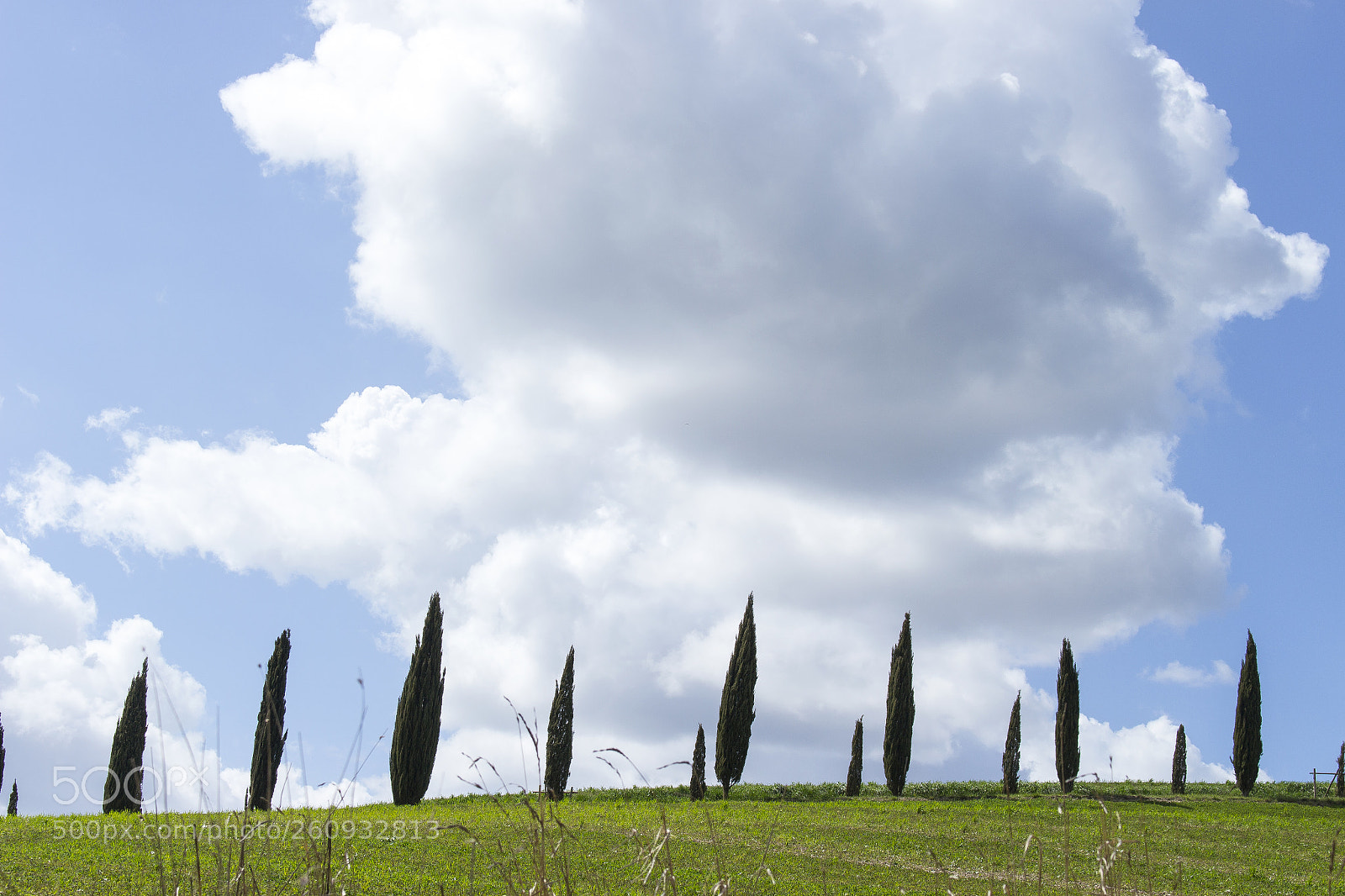 Canon EOS 700D (EOS Rebel T5i / EOS Kiss X7i) sample photo. Val d'orcia photography