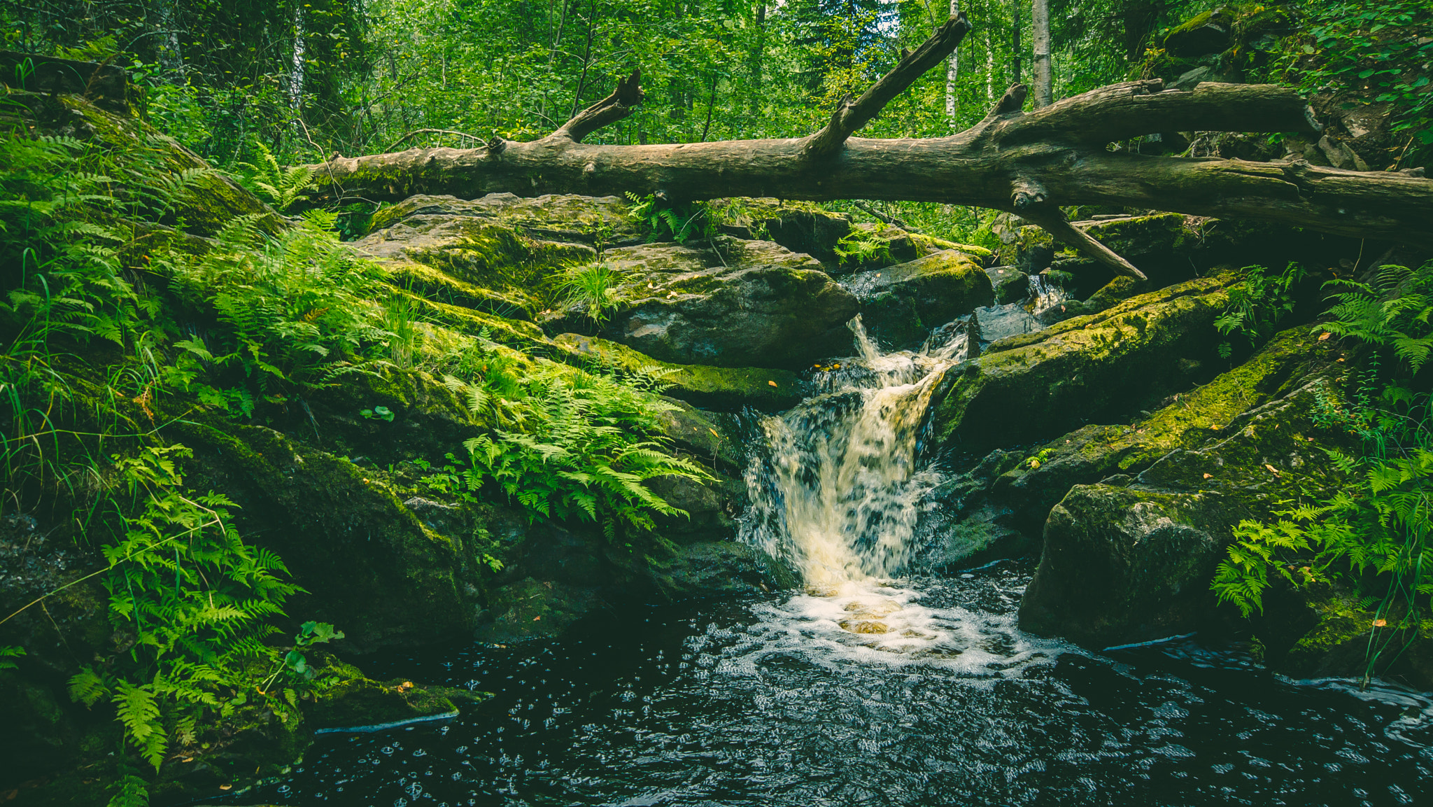 Sony SLT-A77 sample photo. Small waterfall in karelia and fallen tree photography