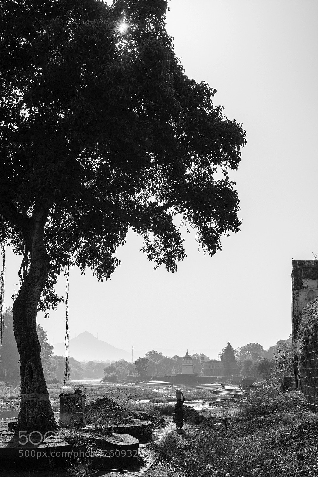 Nikon D800E sample photo. Rural life in india photography