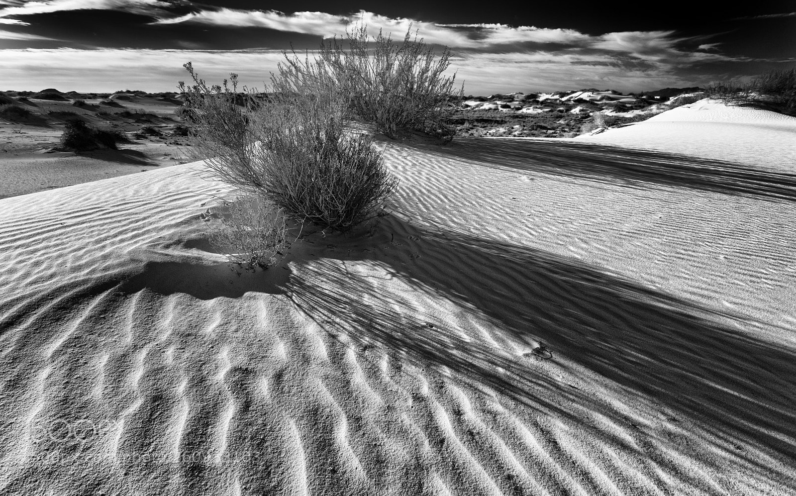 Canon EOS 5D Mark II sample photo. Morning shadows photography