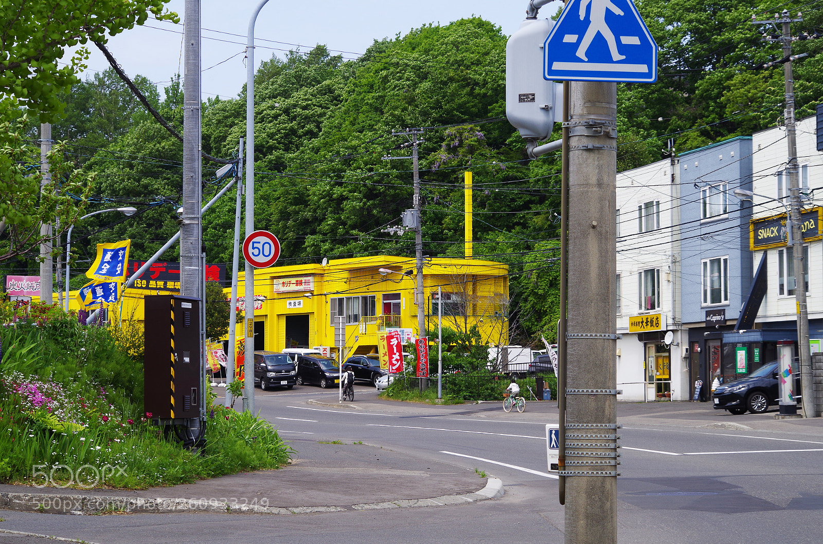 Pentax K-50 sample photo. Yellow! photography