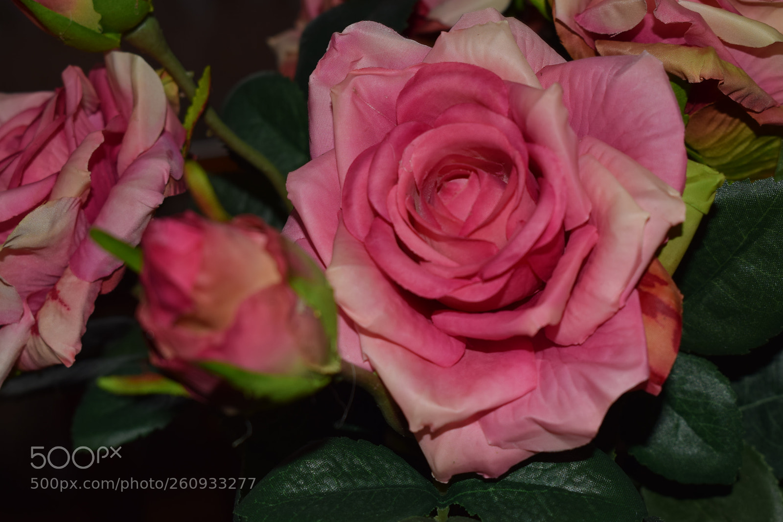 Nikon D3300 sample photo. Цветы photography