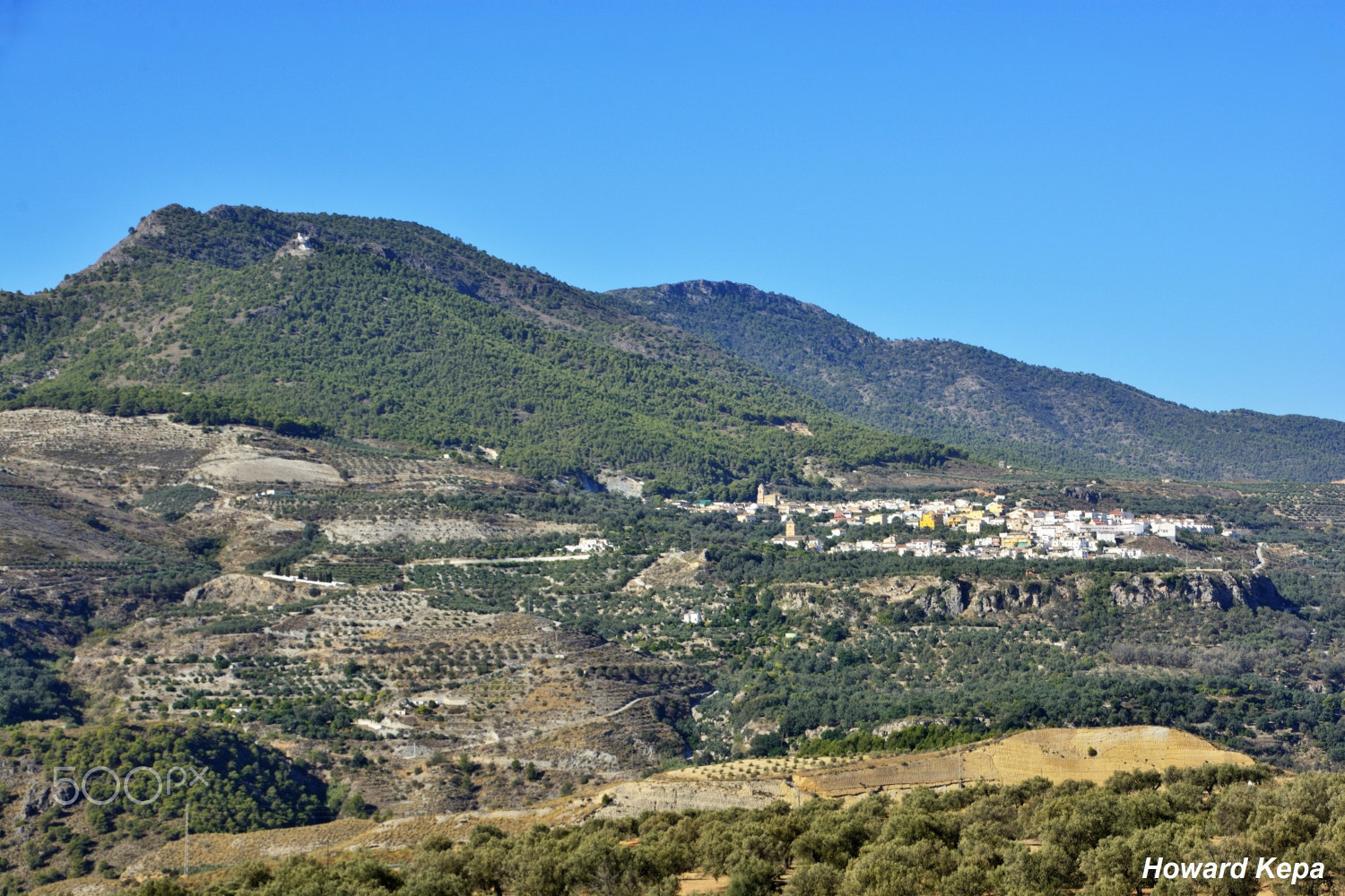 Nikon D7100 sample photo. Pinos del valle. photography