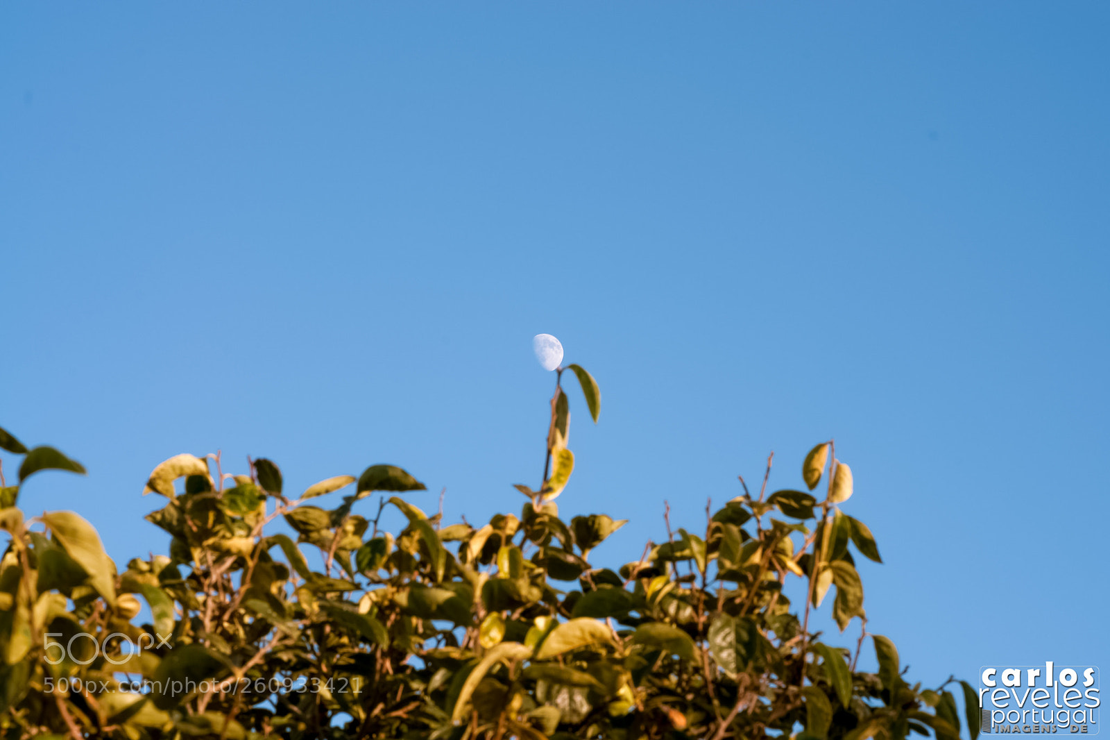 Nikon D5000 sample photo. Lavos, figueira da foz photography
