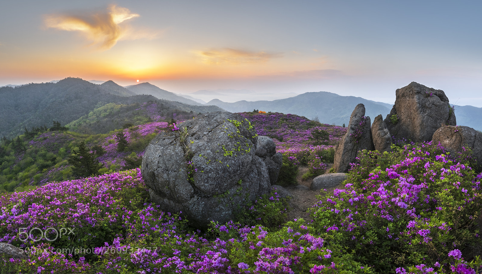 Nikon D810 sample photo. The spring of choamsan photography