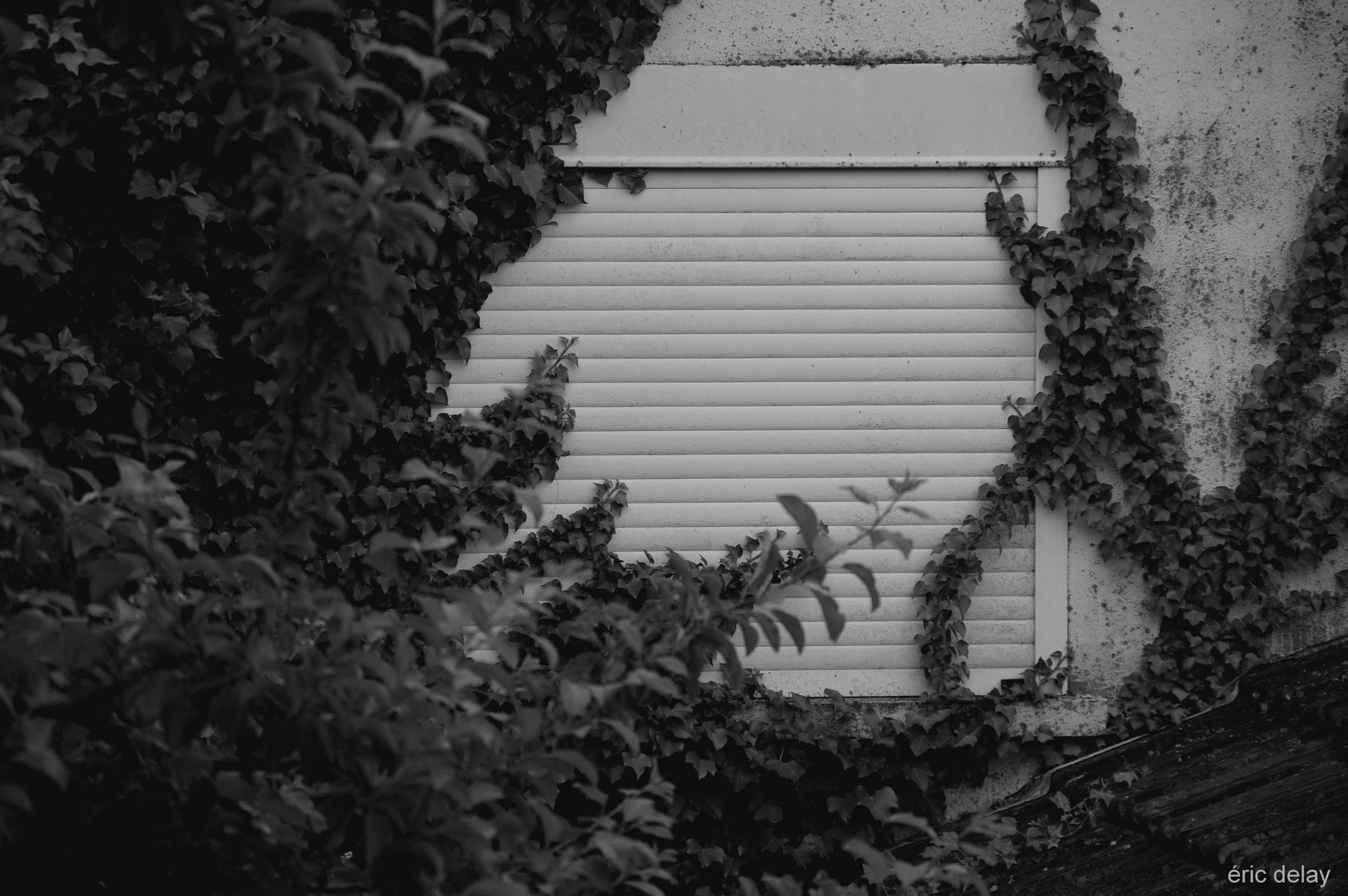 Pentax K-3 sample photo. Misery photography