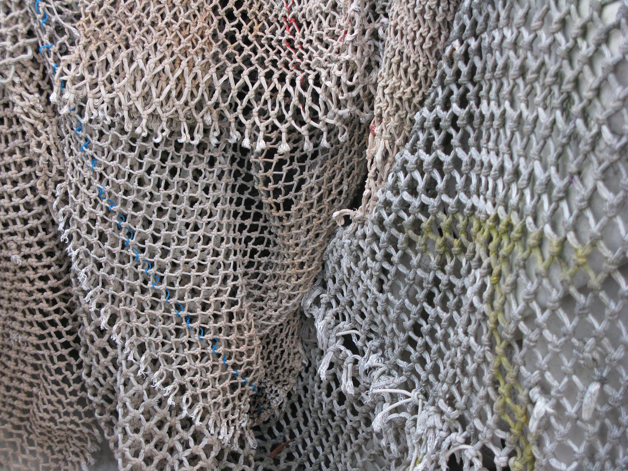 Canon POWERSHOT G9 sample photo. Textura 10 photography