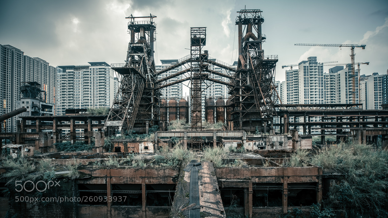 Nikon D810 sample photo. Untitled photography