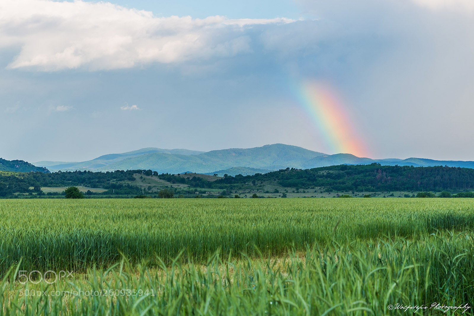 Nikon D610 sample photo. The rainbow photography
