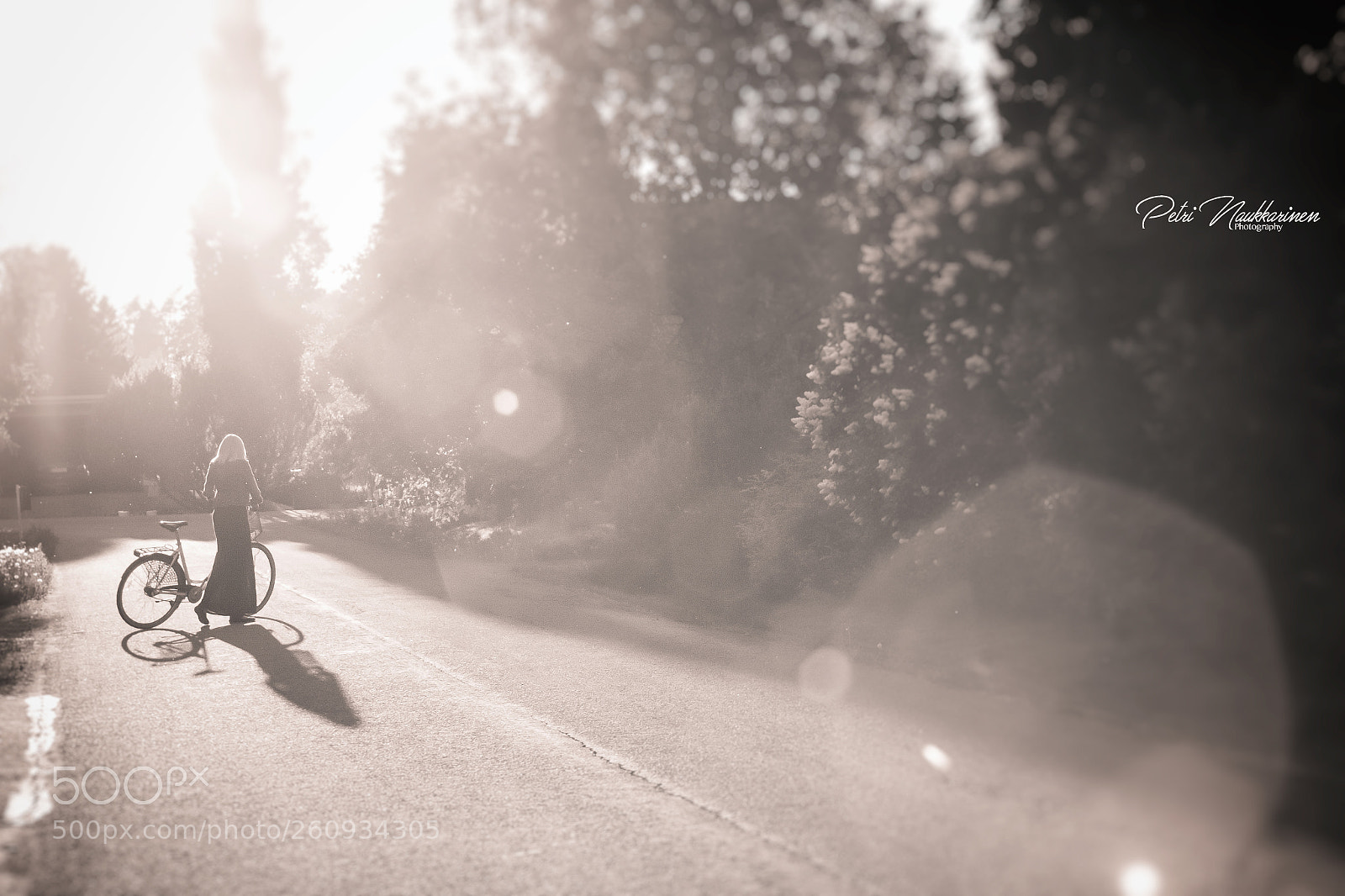 Canon EOS 7D Mark II sample photo. Misty sunset photography