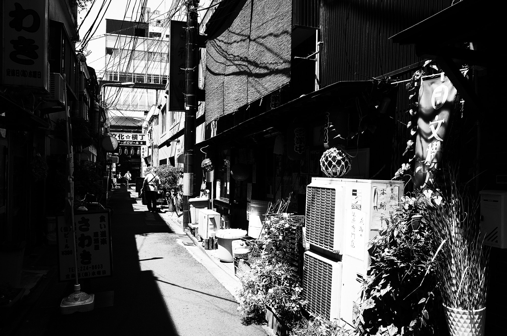 Ricoh GR II sample photo