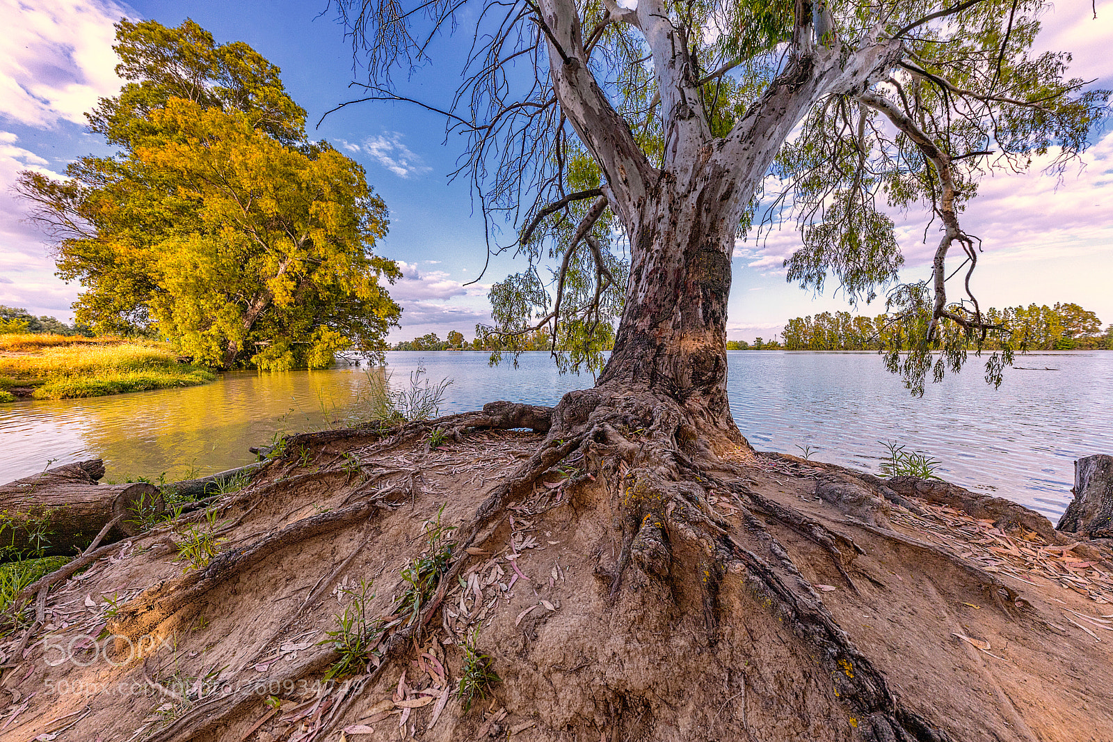 Canon EOS 5D Mark IV sample photo. Guadalquivir photography