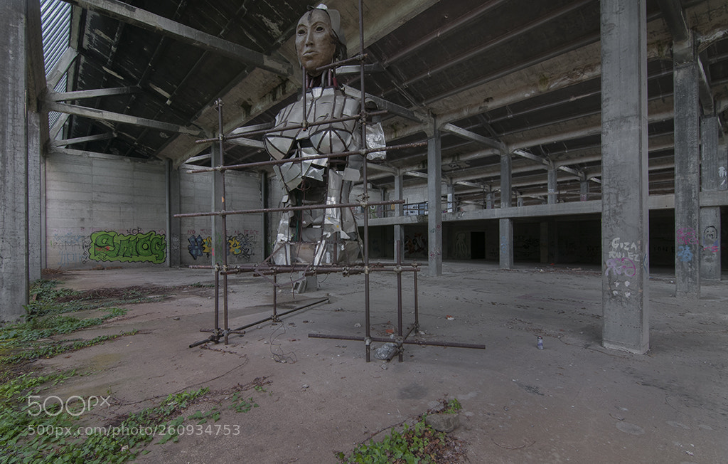 Nikon D300S sample photo. La venere del meccanotessile photography