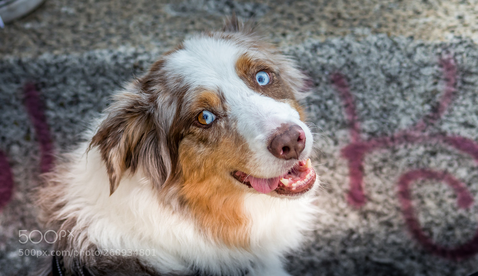Nikon D7200 sample photo. Amazingly beautiful eyes photography