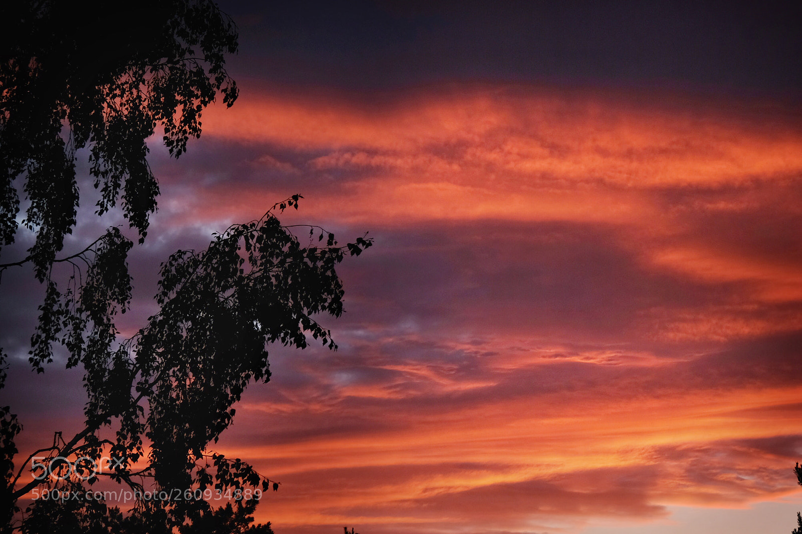 Fujifilm X-T2 sample photo. Sky on fire photography