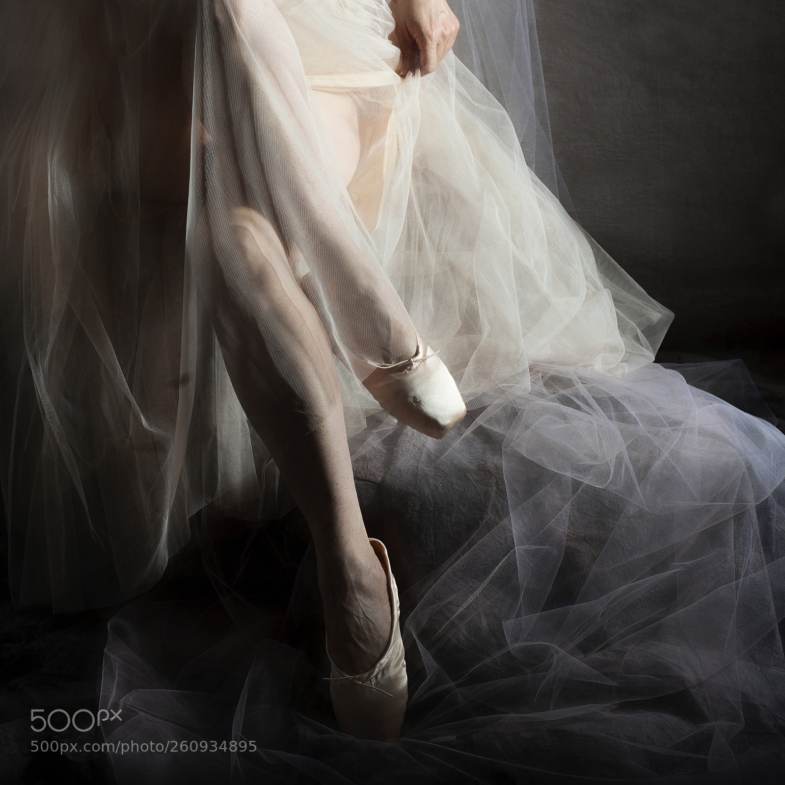 Nikon D610 sample photo. The dream photography