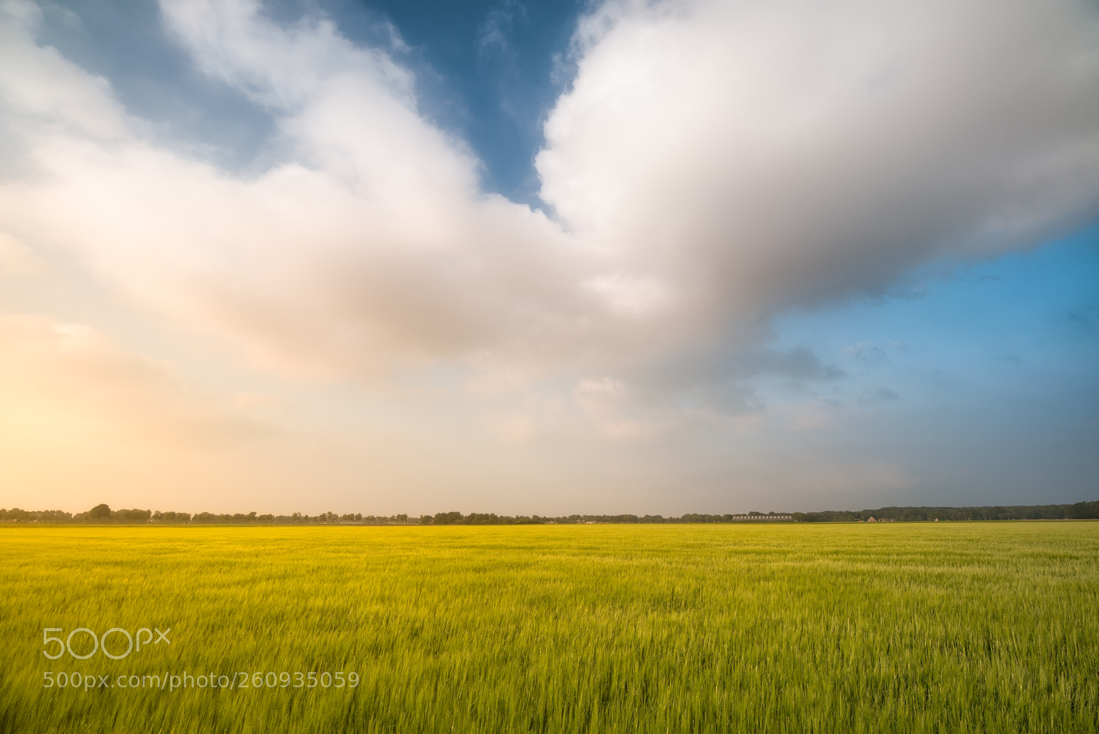 Nikon D750 sample photo. Cloud photography