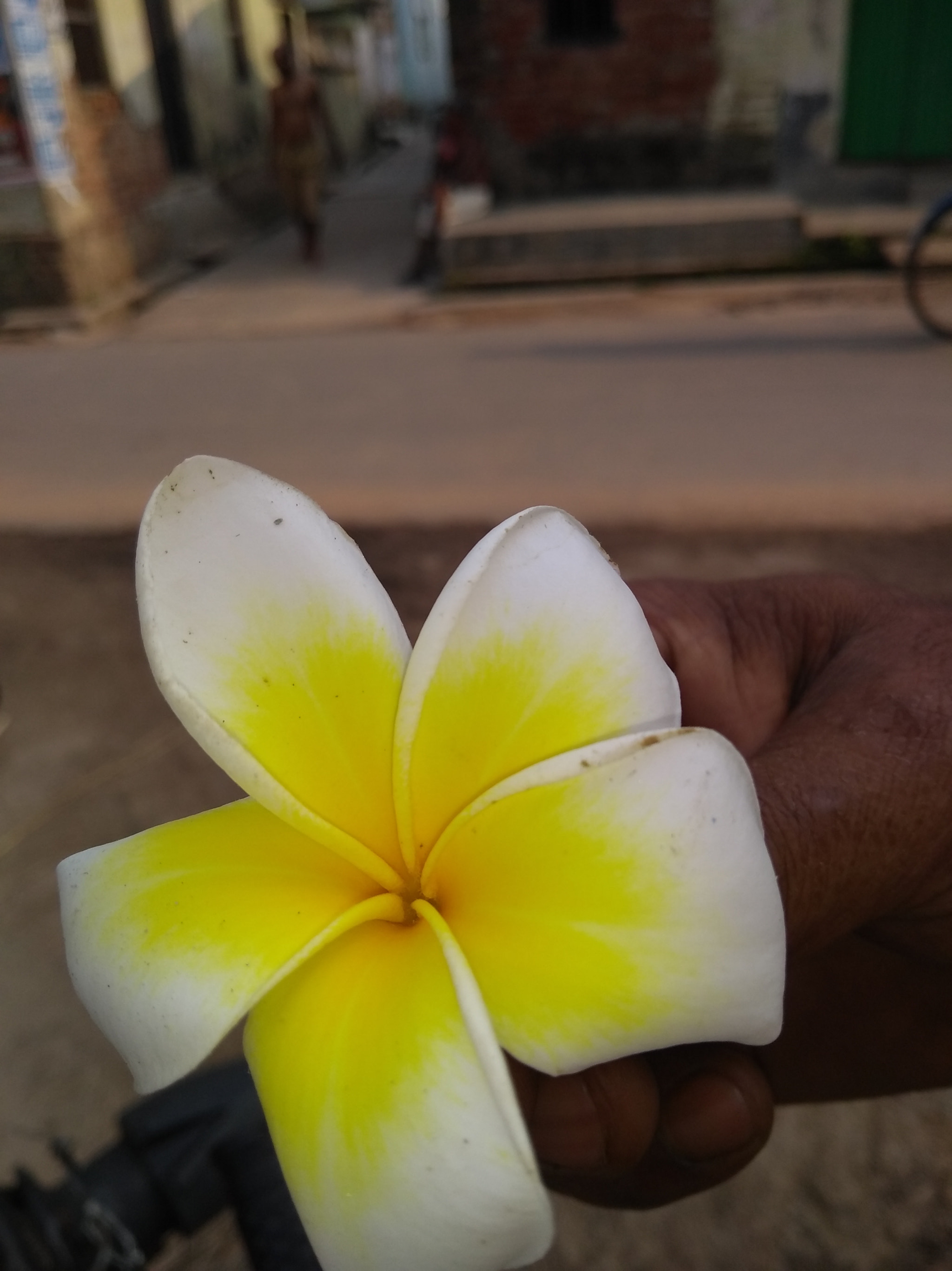 Motorola Moto G (5S) Plus sample photo